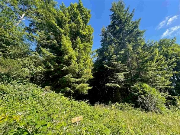 LOT 29 Bell Hole Loop, Crescent City, CA 95531