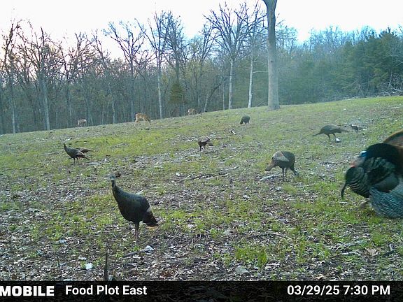 5th image of 16996 E 524 Road