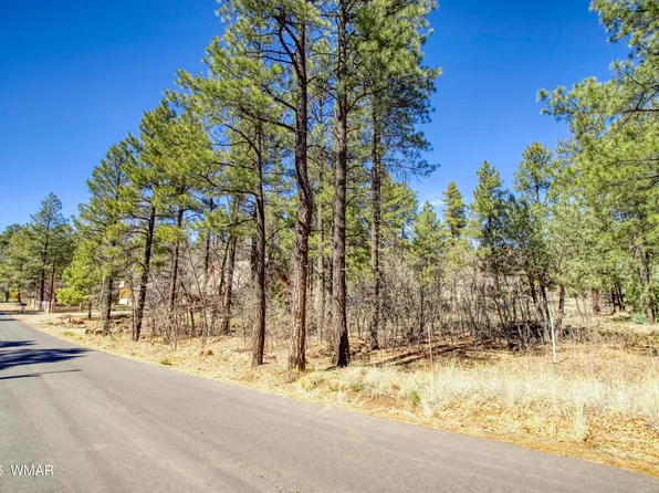 1036 W Apache Ln, Lakeside, AZ 85929