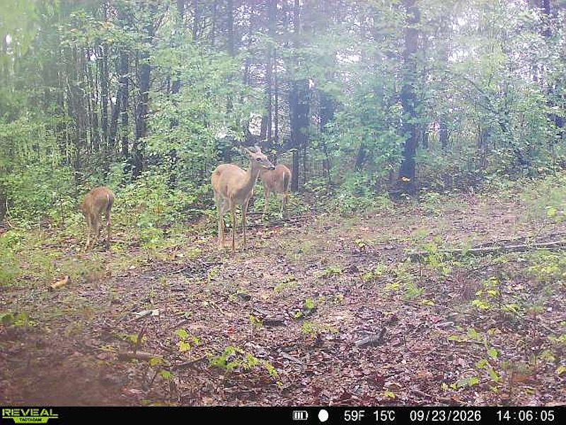 1st image of 1164 Harvey Rd