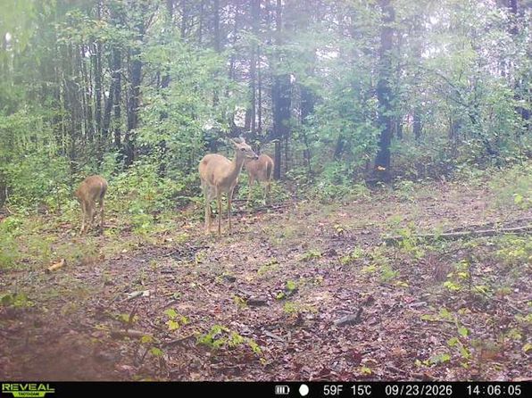 1164 Harvey Rd