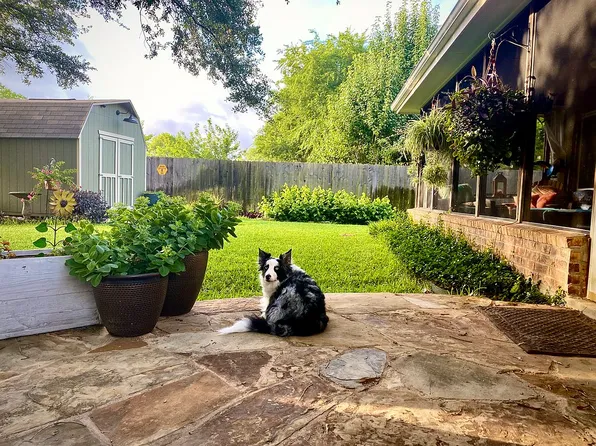 14909 Bescott Dr, Austin, TX 78728