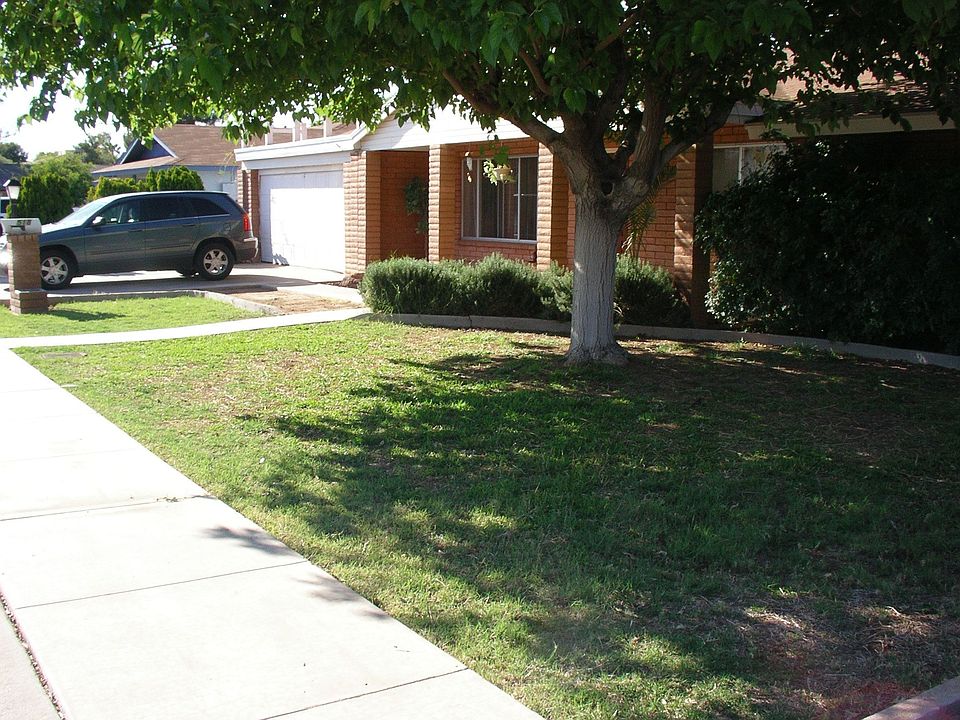 Mature trees provide lots of shade