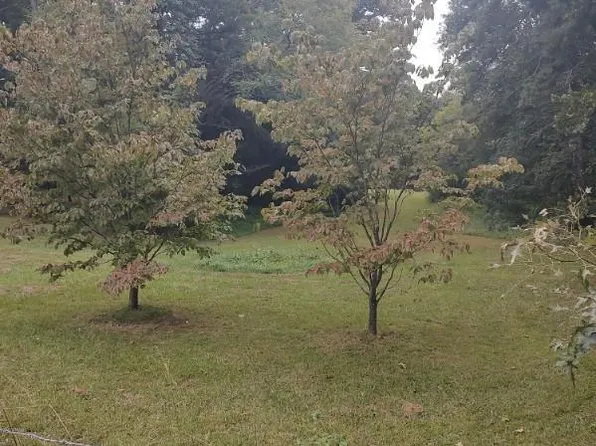 12514 Idlewild Rd, Matthews, NC 28105