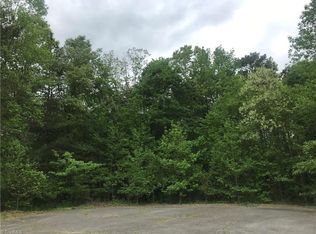 00 Trinity Place Ct, Lewisville, NC 27023