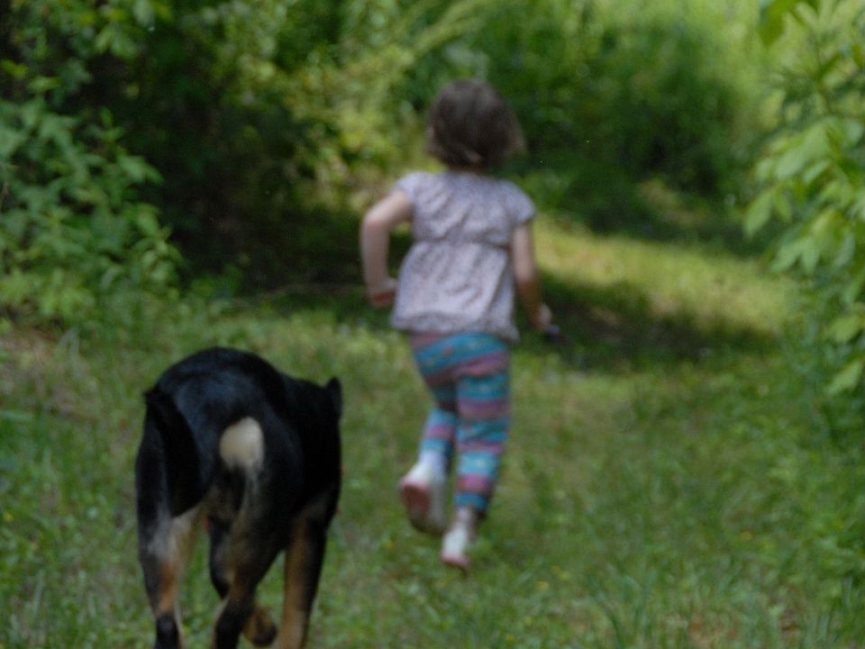 "Walking Trail"