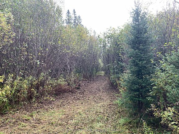 5th image of 101 Proudfoot Rd