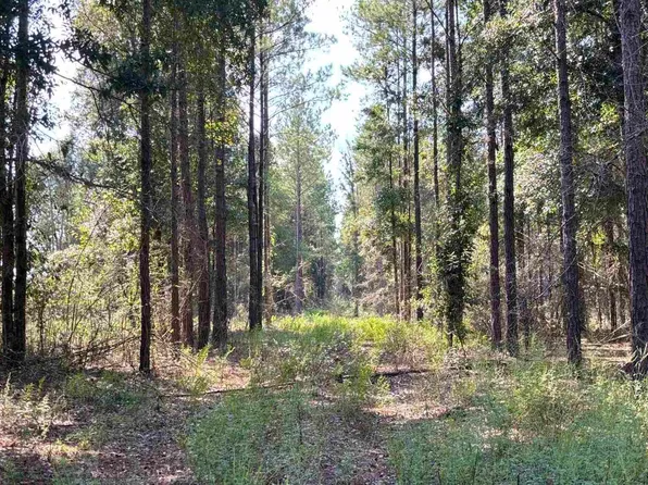LOT 74 Posie Forest Rd, Milton, FL 32570
