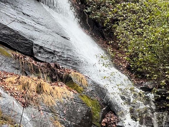 2nd image of 1424 Wolfpen Rd