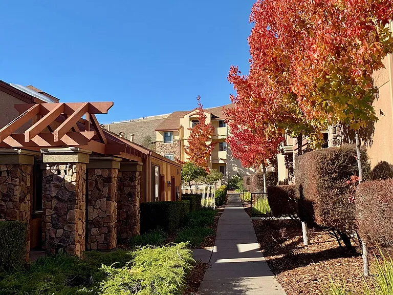 Fall foliage