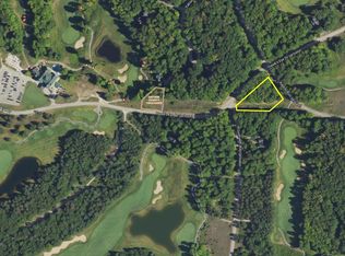 Lots 293 294 Hawks Eye Dr, Bellaire, MI 49615