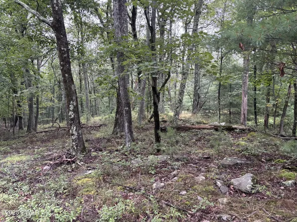 LOT 785 Jack Pine Dr, Dingmans Ferry, PA 18328