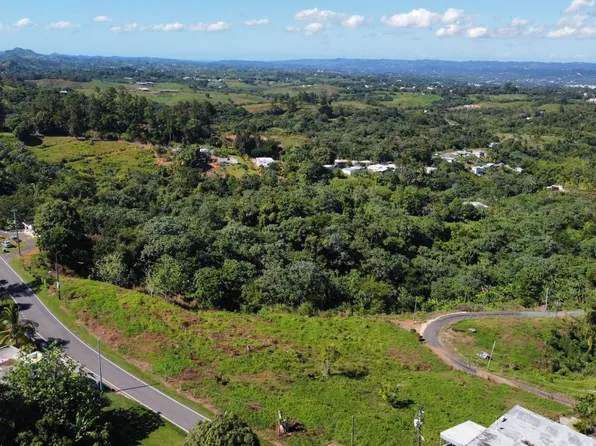 X Carr 119 Km 38.6 Bo Calabazas, San Sebastian, PR 00685