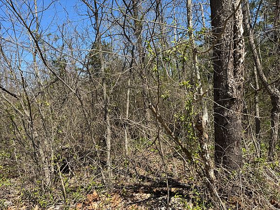 5th image of LOT B 21 State Highway Hwy #46