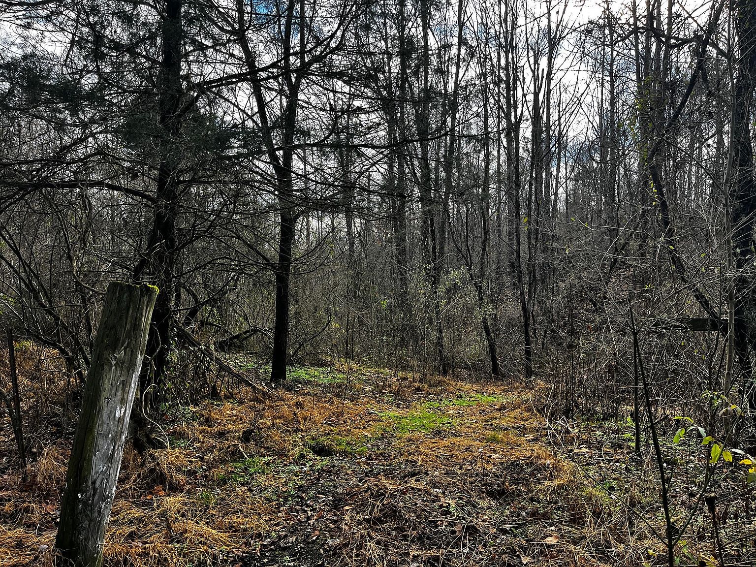 9999 Wilton Off, Woodbine, KY 40771 MLS 23023284 Zillow