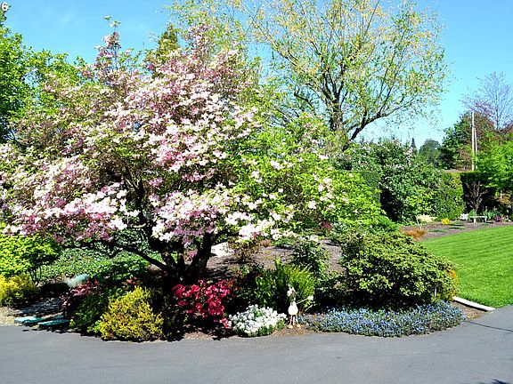 4th image of 4003 Wauna Vista Dr