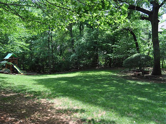 Backyard (1 of 2)