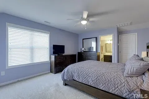 1232 Brown Velvet Ln — Photo 18