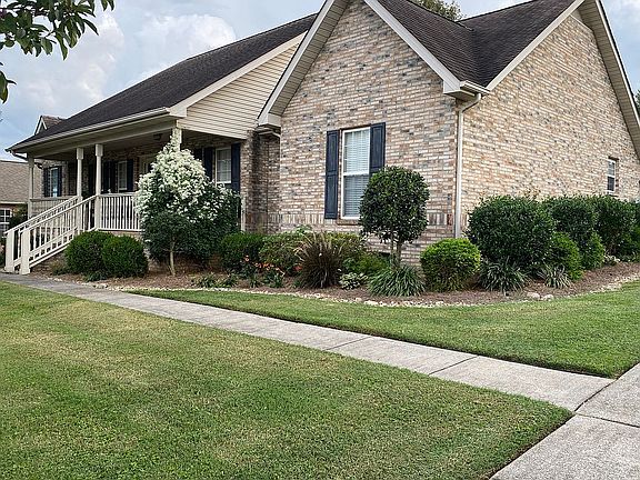 Driveway View