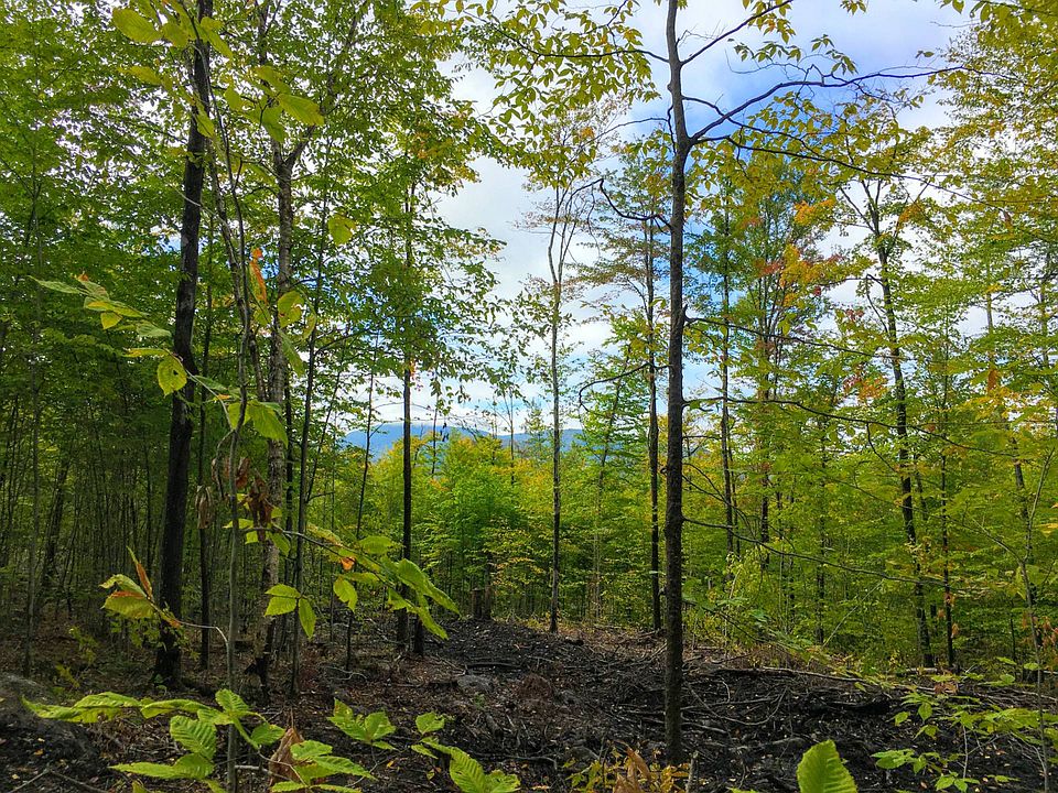 Off Ragged Lake Rd, Owls Head, NY 12969 Zillow