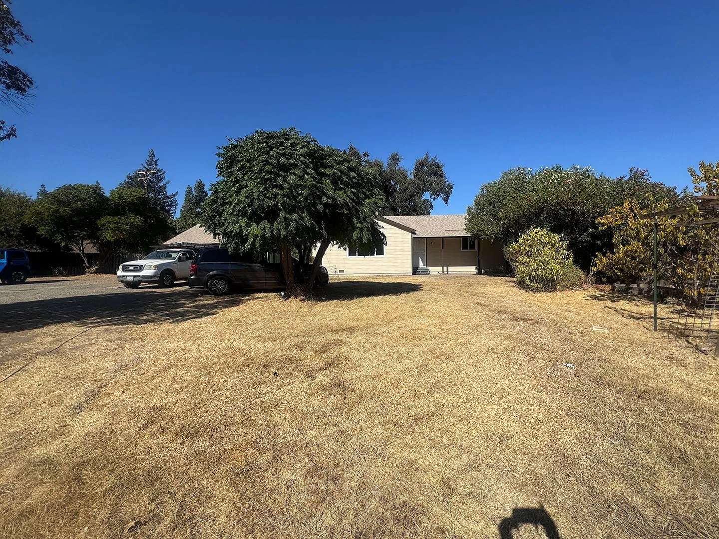 Charming 3-Bedroom Home with Spacious yard and Business Potential — Photo 2