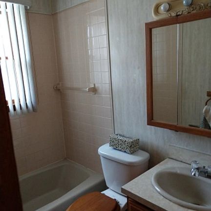 Main bath with shower