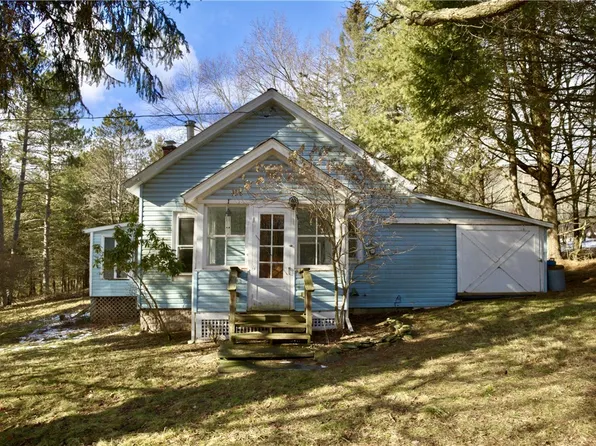 155 Lee Hollow Rd, Delhi, NY 13753