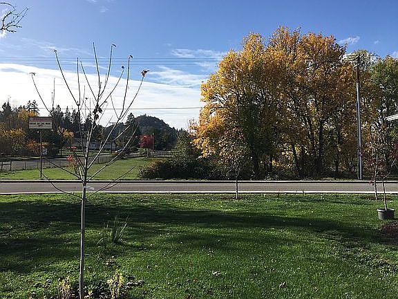 View from our front porch!