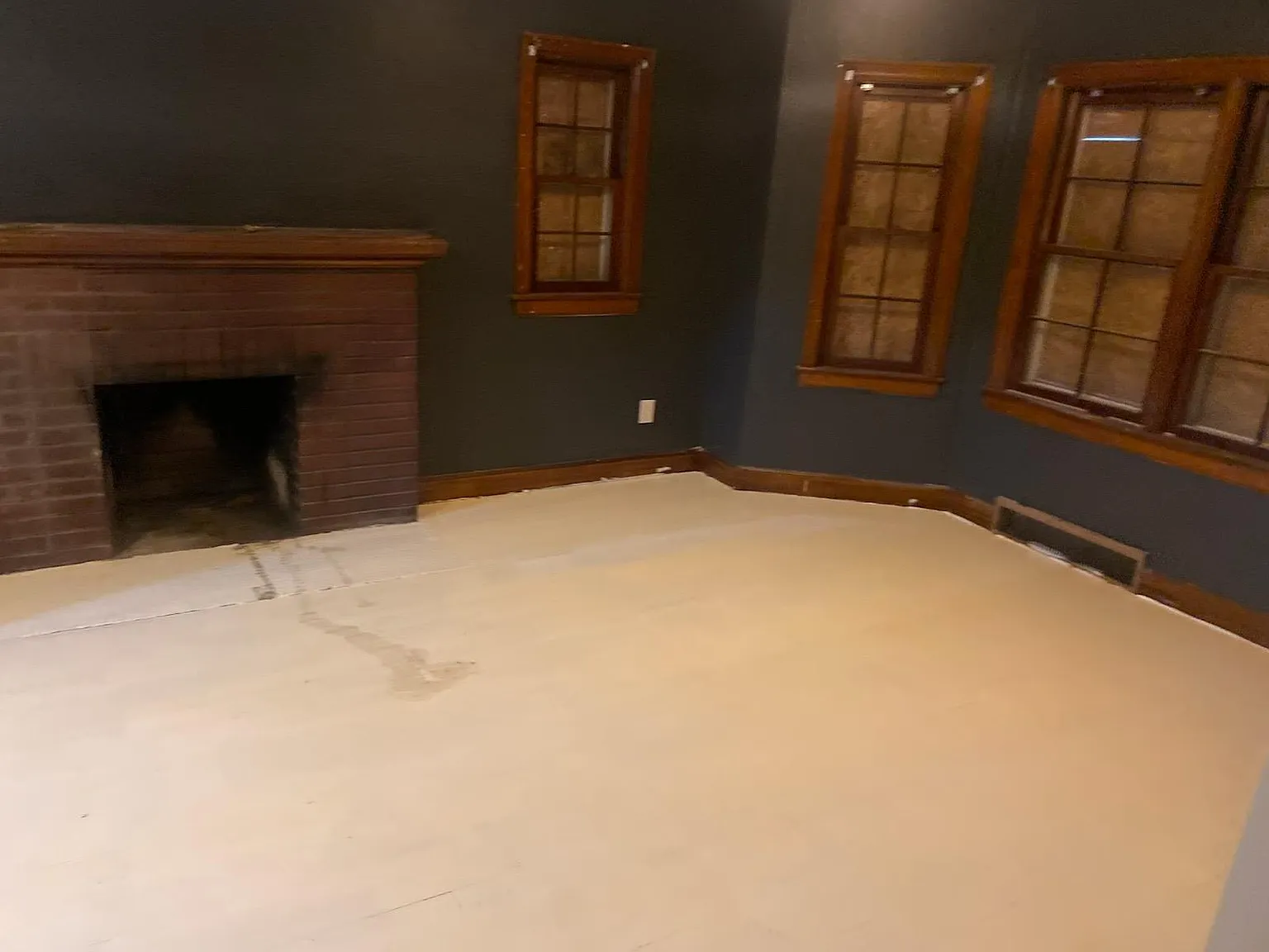 Whitcomb St, Detroit — Photo 4