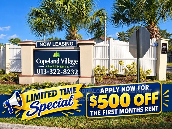 1256 E 113th Ave, Tampa, FL