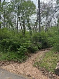 LOT 23 W Brush Creek Loop, Rogers, AR, 72756