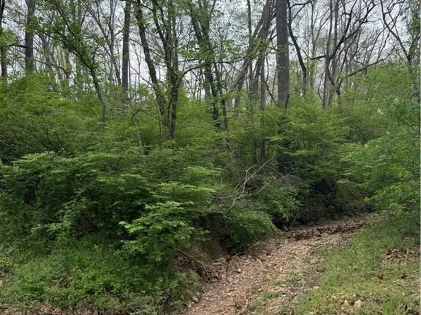 LOT 23 W Brush Creek Loop, Rogers, AR 72756