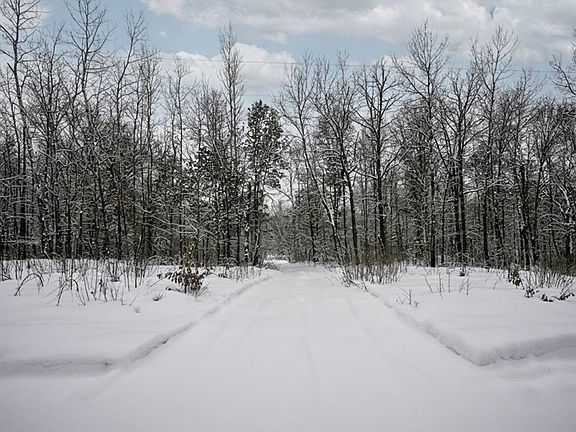 2nd image of LOT 4 Pierce Homestead Rd