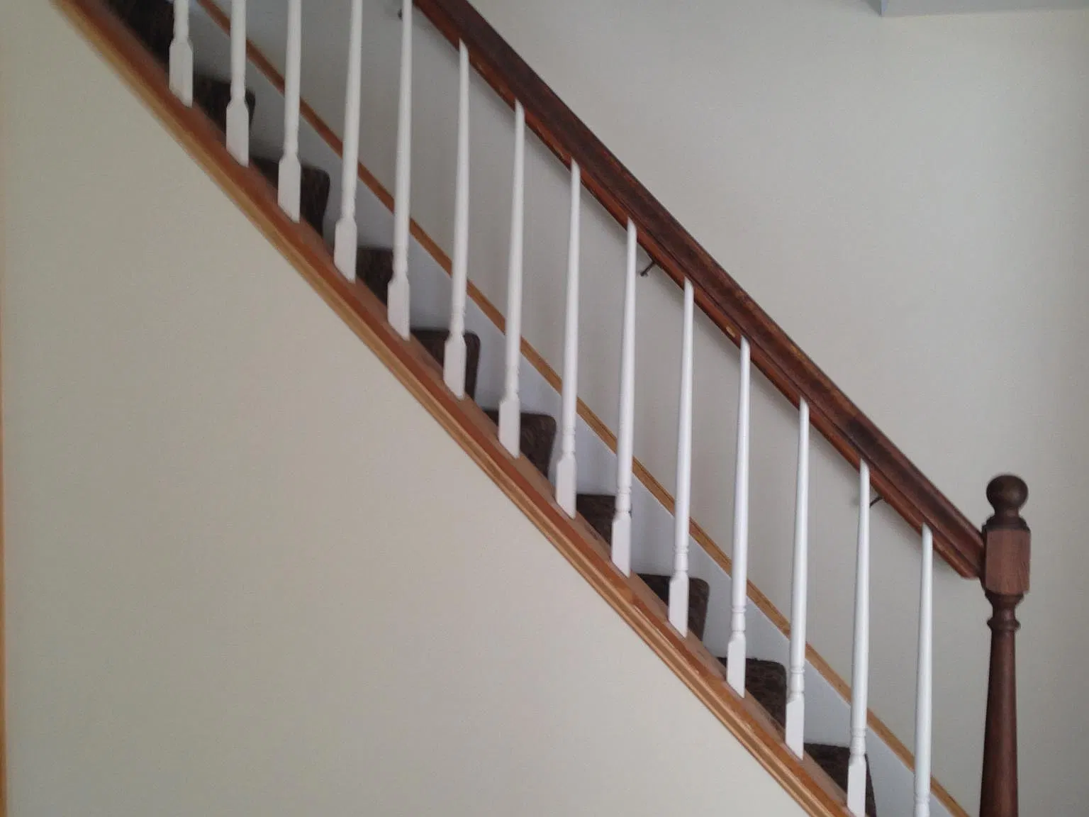 Callanan Ave, Bryn Mawr — Photo 4
