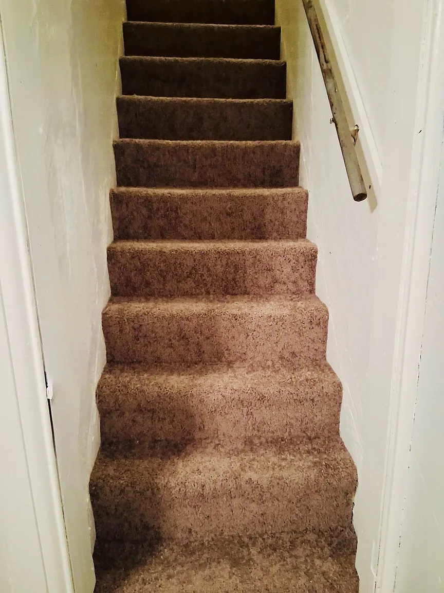 811 Baker Street - 1 — Photo 4