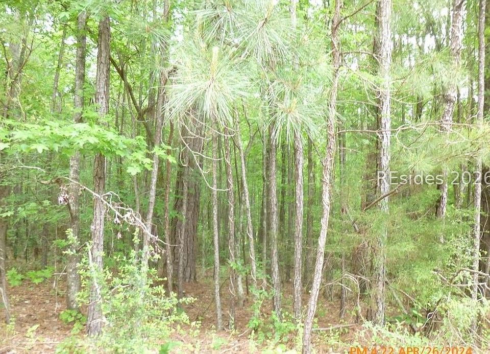 2nd image of 17 Deveraux Point