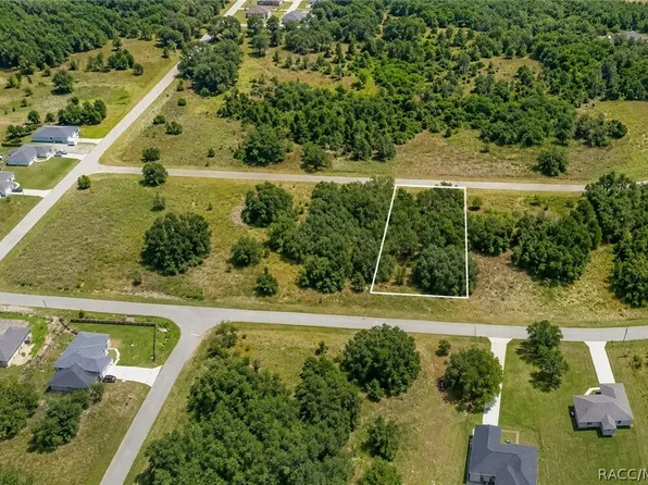 7644 N Fisher Ter, Citrus Springs, FL 34434