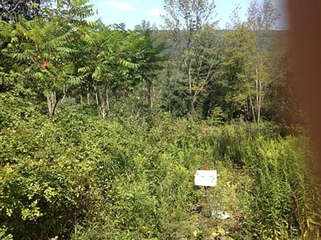 2nd image of 316 New Lancaster Valley Rd