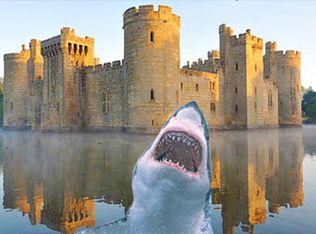 52 Schwartz Rd, Elma, NY 14059