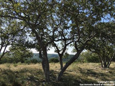 36.3 AC Bella Springs Rd, Boerne, TX, 78006