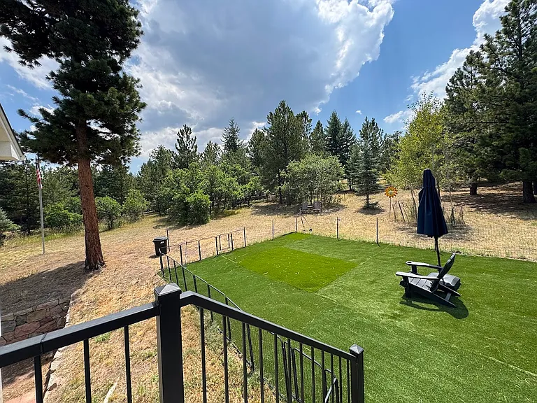 backyard view of pet area from deck