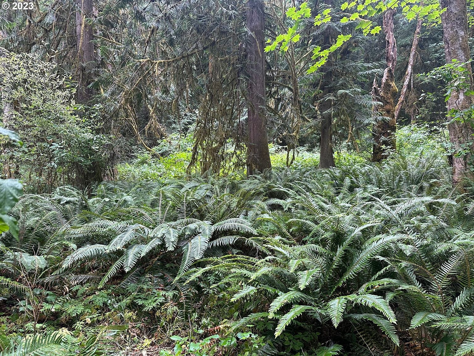 East St, Vernonia, OR 97064 MLS 23678018 Zillow