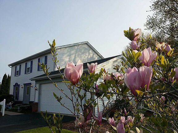 2nd image of 3830 Pepperwood Ct