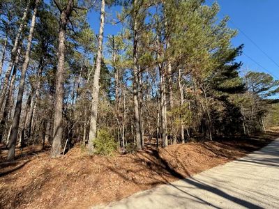0 Pineywoods Road, Lincolnton, GA, 30817