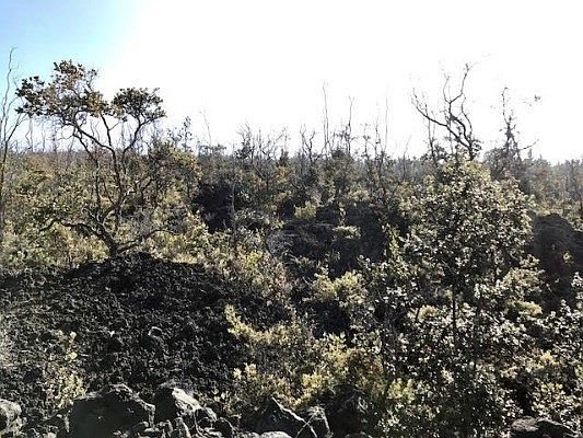 1st image of King Kamehameha Blvd Lot 27
