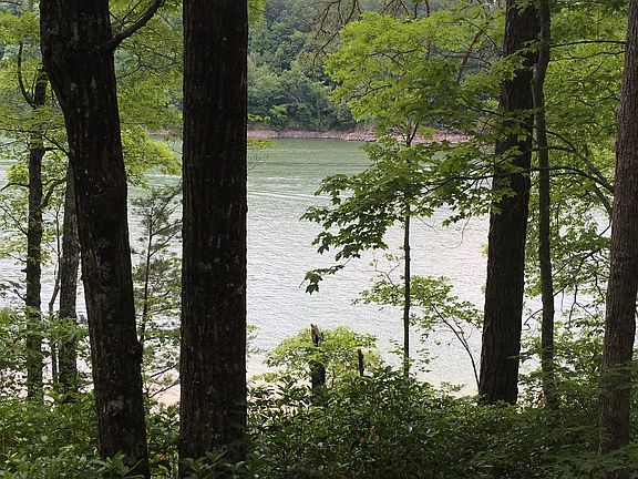 View of lake from lot #8