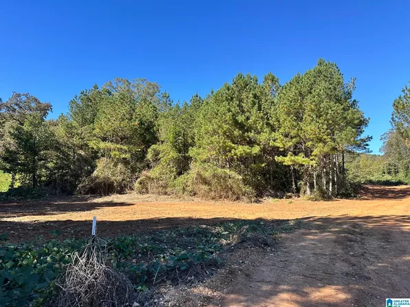 0 Rabbittown Rd #0, Piedmont, AL 36272