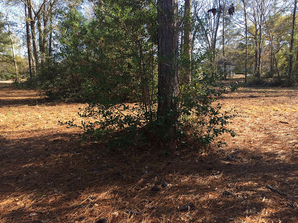 1st image of Brookwood Park