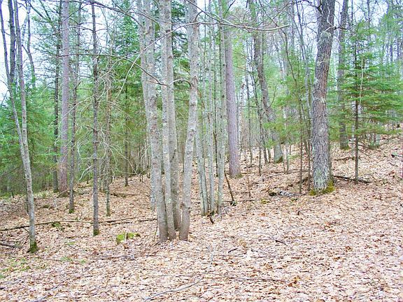 4th image of ON E WAKEFIELD LAKE RD