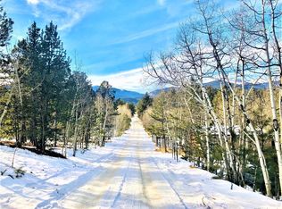 348 Jones Rd, Bailey, CO 80421